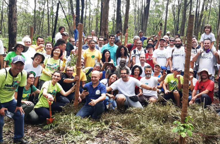Área de Proteção Ambiental do Carmo promove ação de plantio coletivo