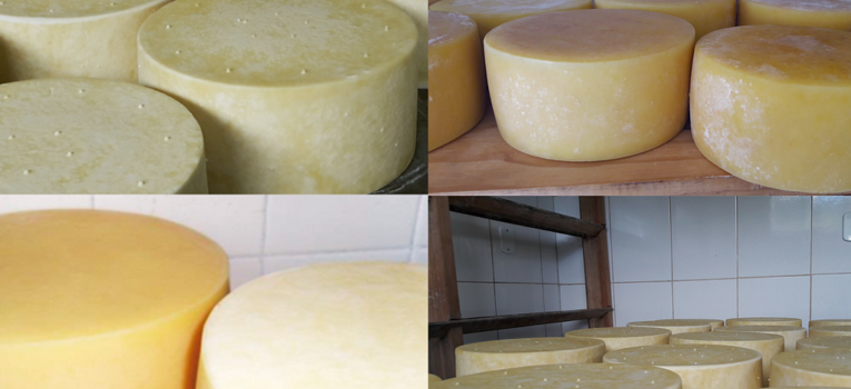 Novos estudos agregam valor aos queijos da Mantiqueira