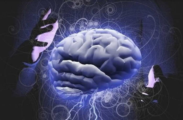 Controle da Mente: a proteína ‘Magneto’ geneticamente modificada controla remotamente o cérebro e o  comportamento