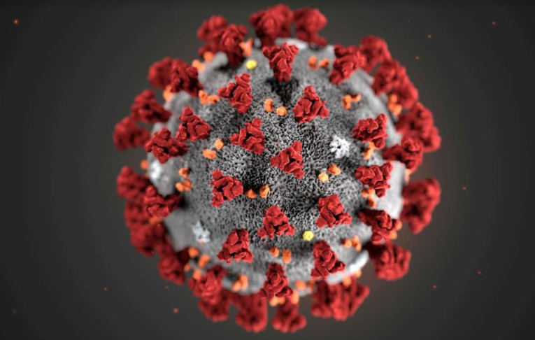 África do Sul detecta nova variante do coronavírus e estuda mutações