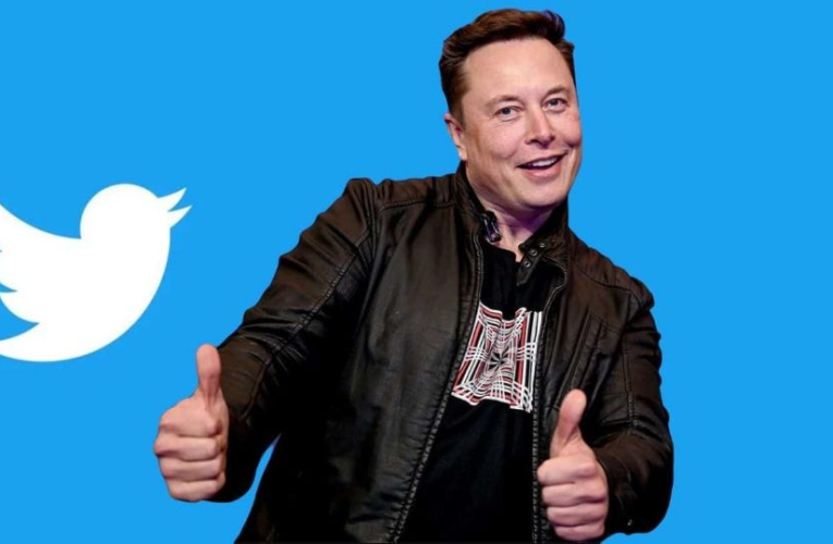 Internautas se revoltam com Elon Musk por “limite diários de tweets”; veja como postar